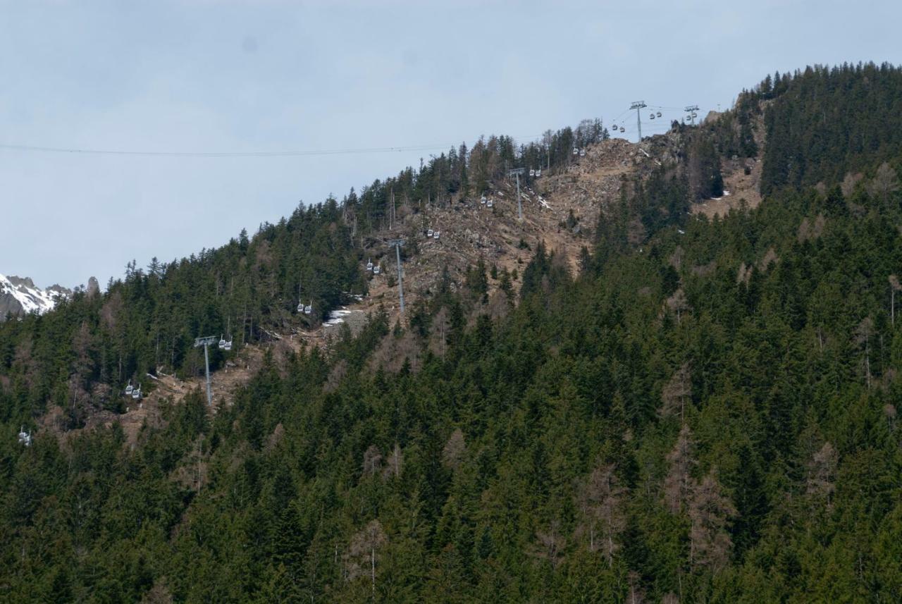 Front Ski Slope Chamonix Apartment Εξωτερικό φωτογραφία